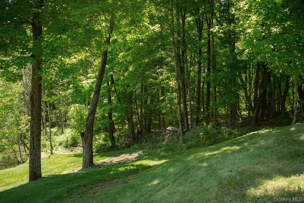 78 Rymph Road Staatsburg, NY 12580 - Photo 28 of 35