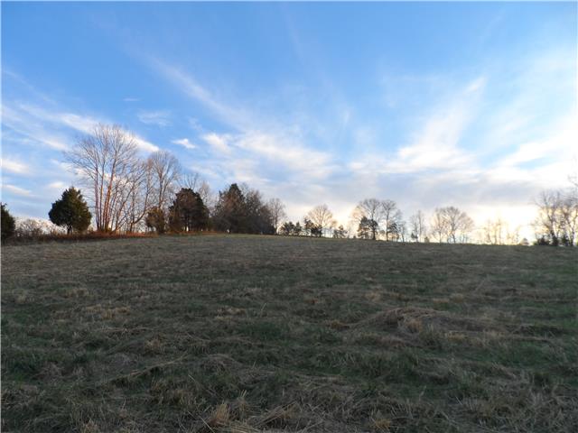 0 Marlow Road Williamsport, TN 38487 - Photo 1 of 6 Gallery Image 1