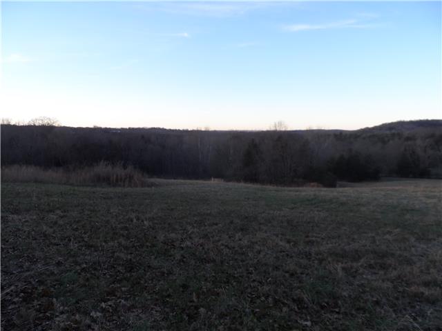 0 Marlow Road Williamsport, TN 38487 - Photo 6 of 6 Gallery Image 6