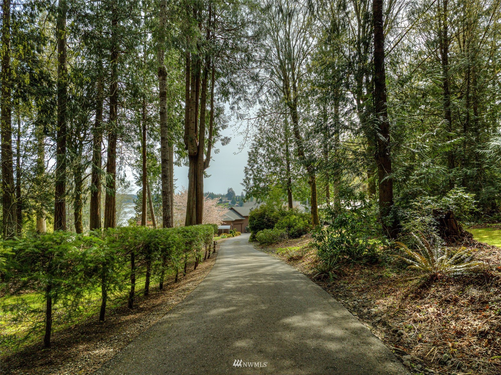 801 East Benson Loop Road Shelton, WA 98584 - Photo 3 of 40 Gallery Image 3