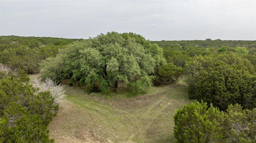 5905 North Us Highway Hamilton, TX 76531 - Photo 35 of 40 a view of a green field with lots of bushes