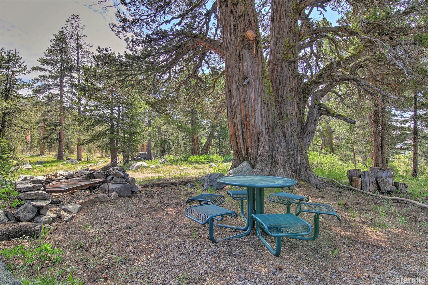 2 Caples Lake Markleeville, CA 96120 - Photo 7 of 25