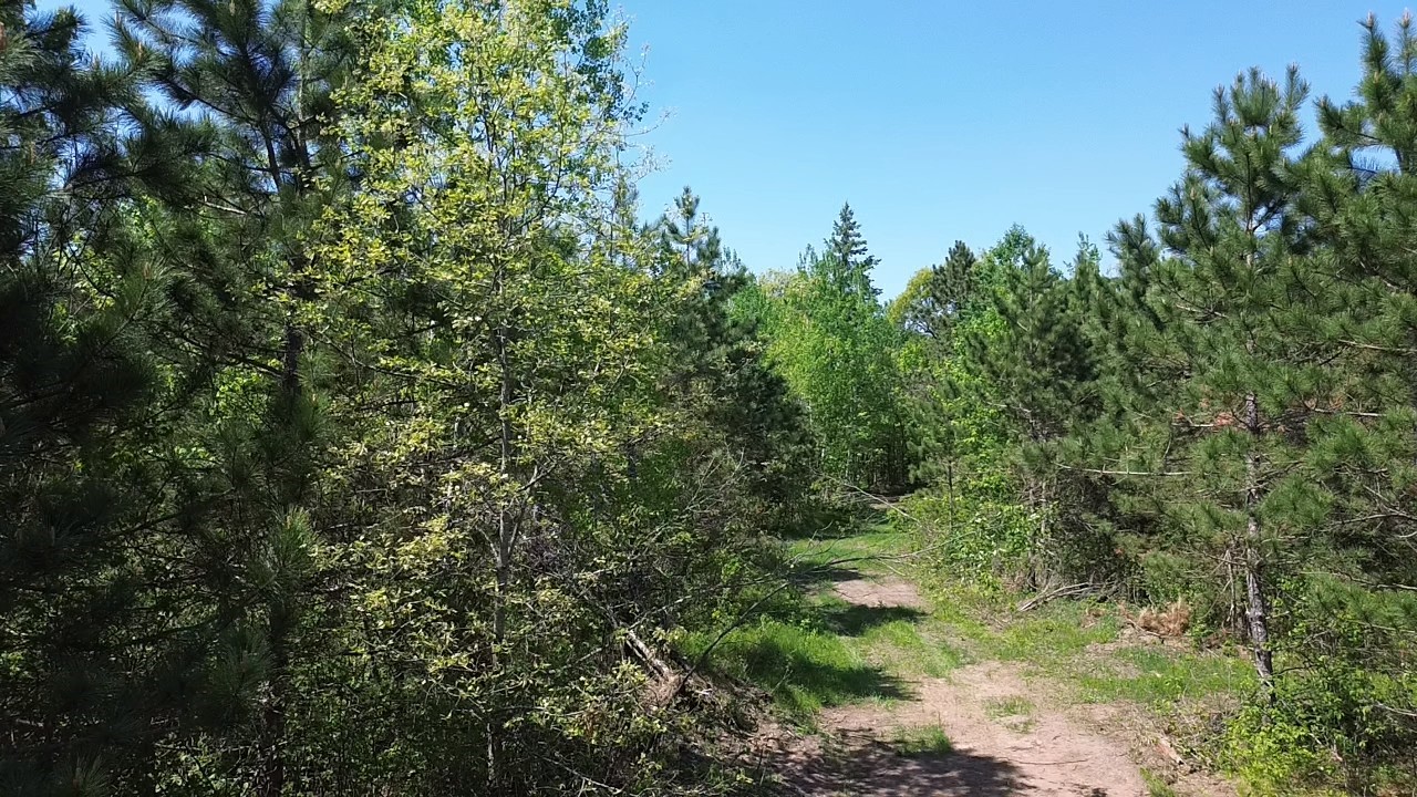 349 X 5th Avenue Shell Lake, WI 54871 - Photo 18 of 37