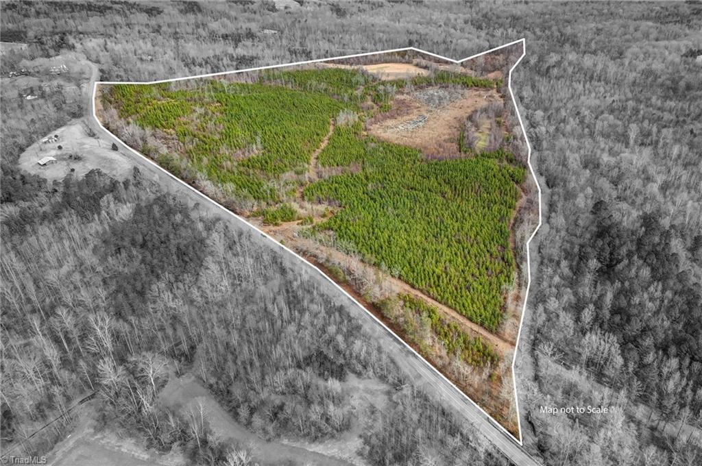 0 Lick Fork Creek Road Ruffin, NC 27326 - Photo 1 of 32