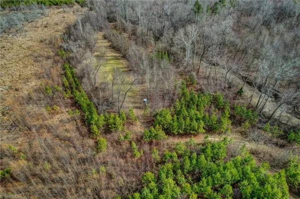 $698,500 | 0 Lick Fork Creek Road, Ruffin, NC 27326