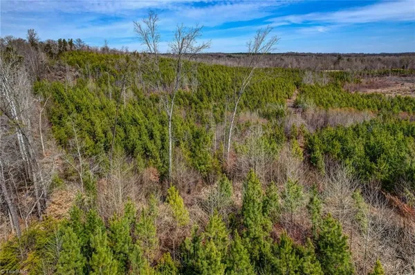 $698,500 | 0 Lick Fork Creek Road, Ruffin, NC 27326