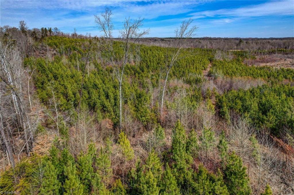 0 Lick Fork Creek Road Ruffin, NC 27326 - Photo 12 of 32