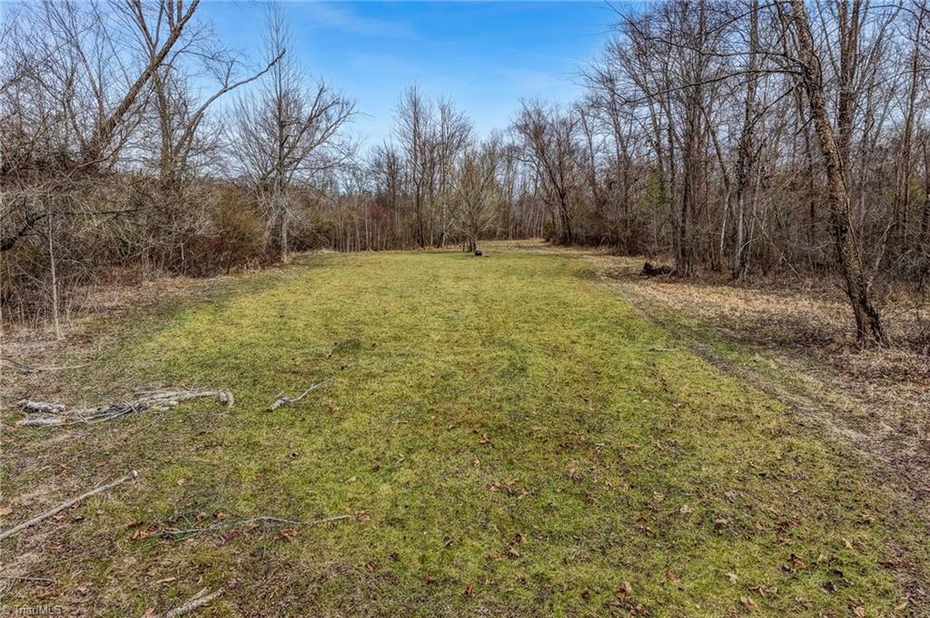 0 Lick Fork Creek Road Ruffin, NC 27326 - Photo 13 of 32