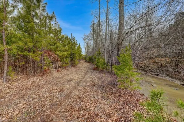 $698,500 | 0 Lick Fork Creek Road, Ruffin, NC 27326