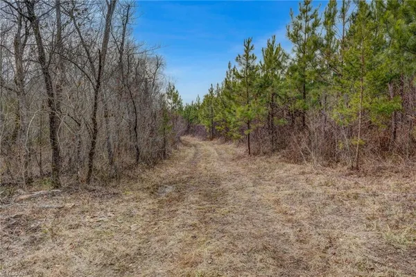 $698,500 | 0 Lick Fork Creek Road, Ruffin, NC 27326