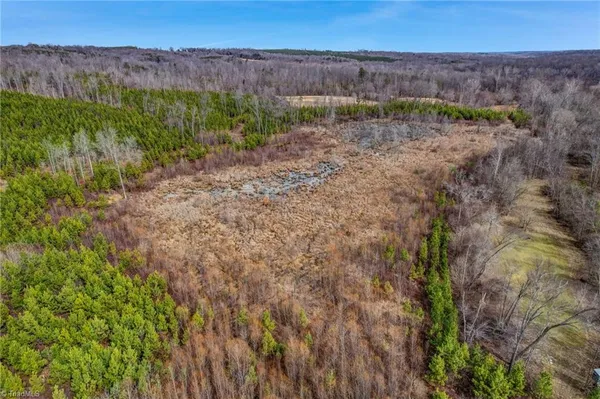 $698,500 | 0 Lick Fork Creek Road, Ruffin, NC 27326