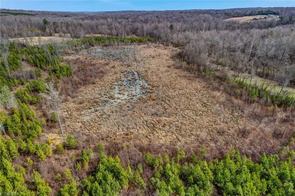 $698,500 | 0 Lick Fork Creek Road, Ruffin, NC 27326