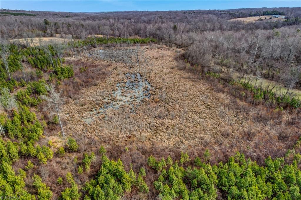 0 Lick Fork Creek Road Ruffin, NC 27326 - Photo 21 of 32