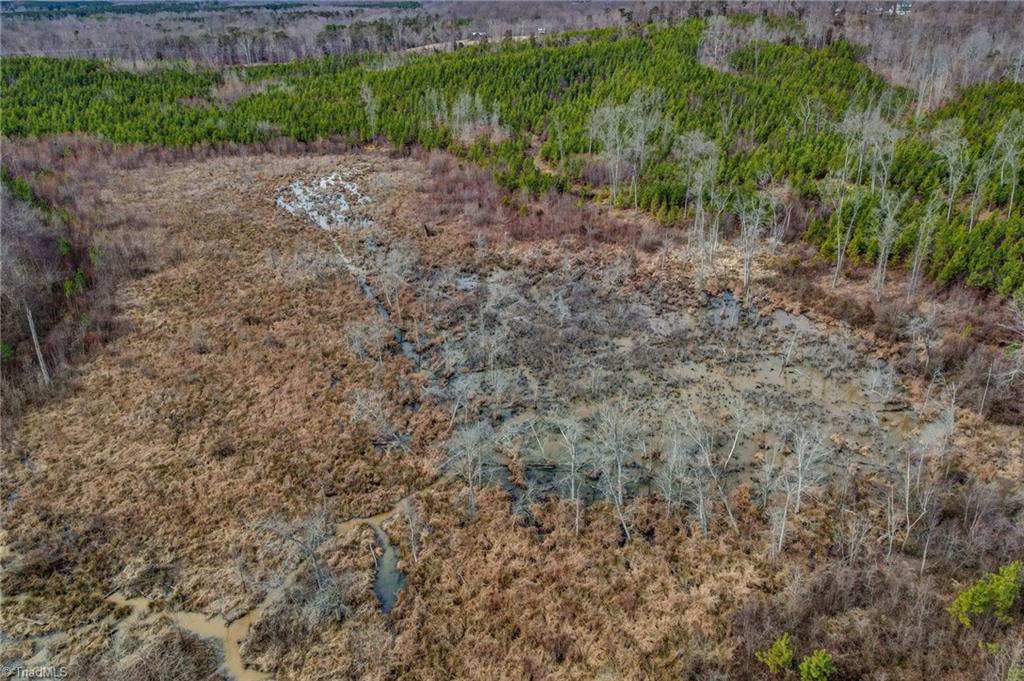 0 Lick Fork Creek Road Ruffin, NC 27326 - Photo 22 of 32