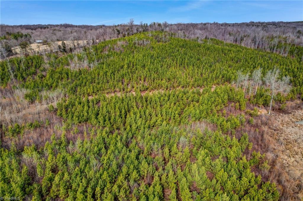 0 Lick Fork Creek Road Ruffin, NC 27326 - Photo 26 of 32