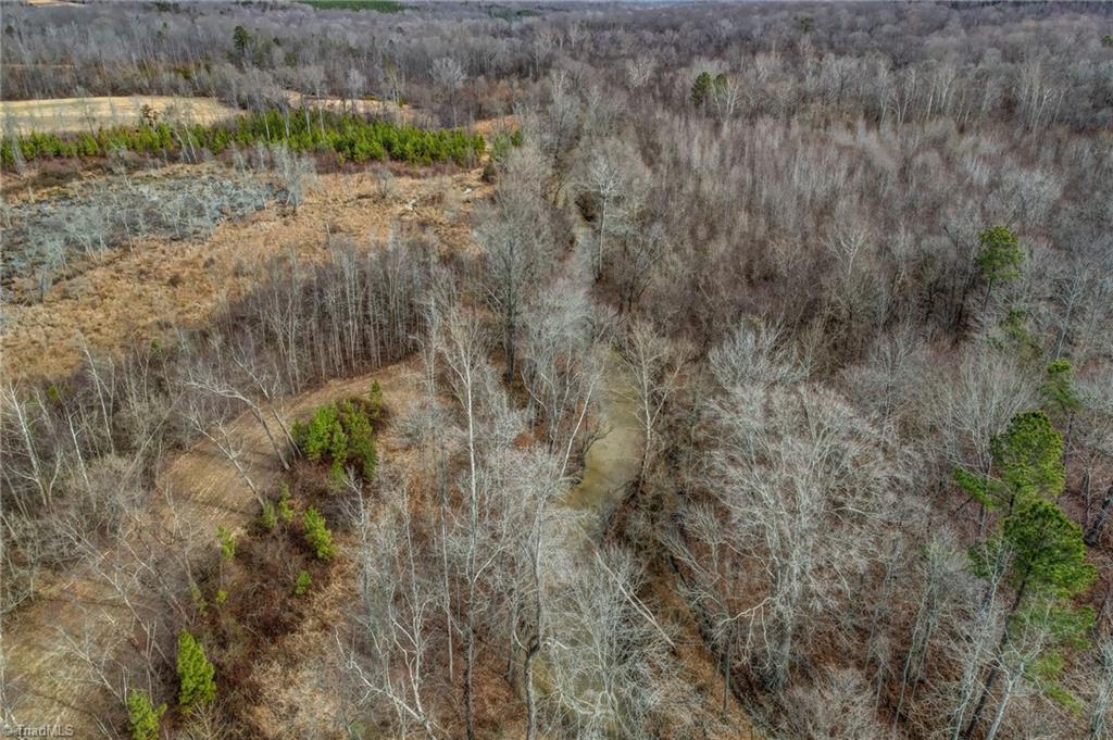 0 Lick Fork Creek Road Ruffin, NC 27326 - Photo 27 of 32