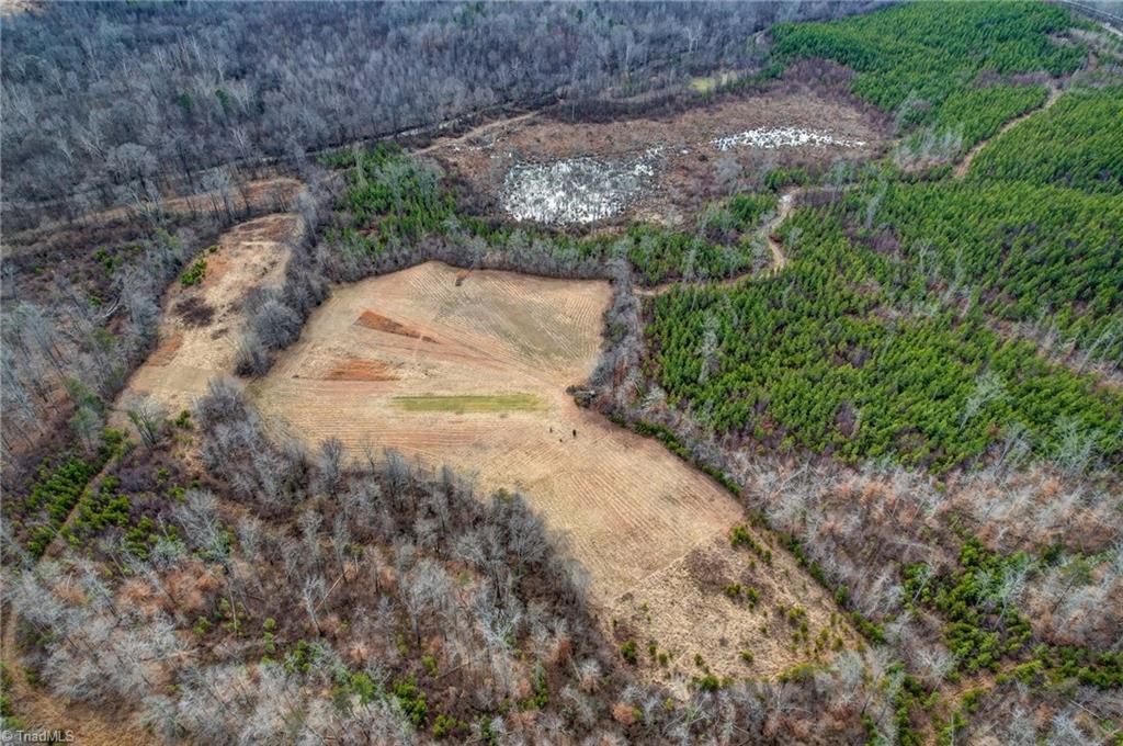 0 Lick Fork Creek Road Ruffin, NC 27326 - Photo 28 of 32