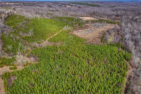 $698,500 | 0 Lick Fork Creek Road, Ruffin, NC 27326