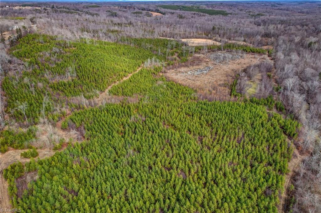 0 Lick Fork Creek Road Ruffin, NC 27326 - Photo 29 of 32