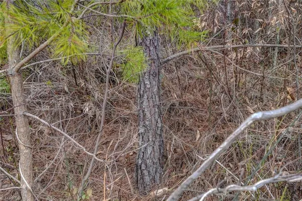 $698,500 | 0 Lick Fork Creek Road, Ruffin, NC 27326