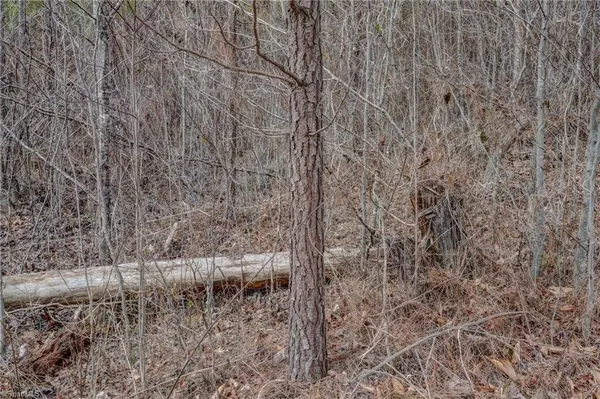 $698,500 | 0 Lick Fork Creek Road, Ruffin, NC 27326