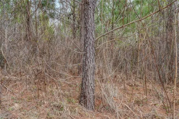 $698,500 | 0 Lick Fork Creek Road, Ruffin, NC 27326