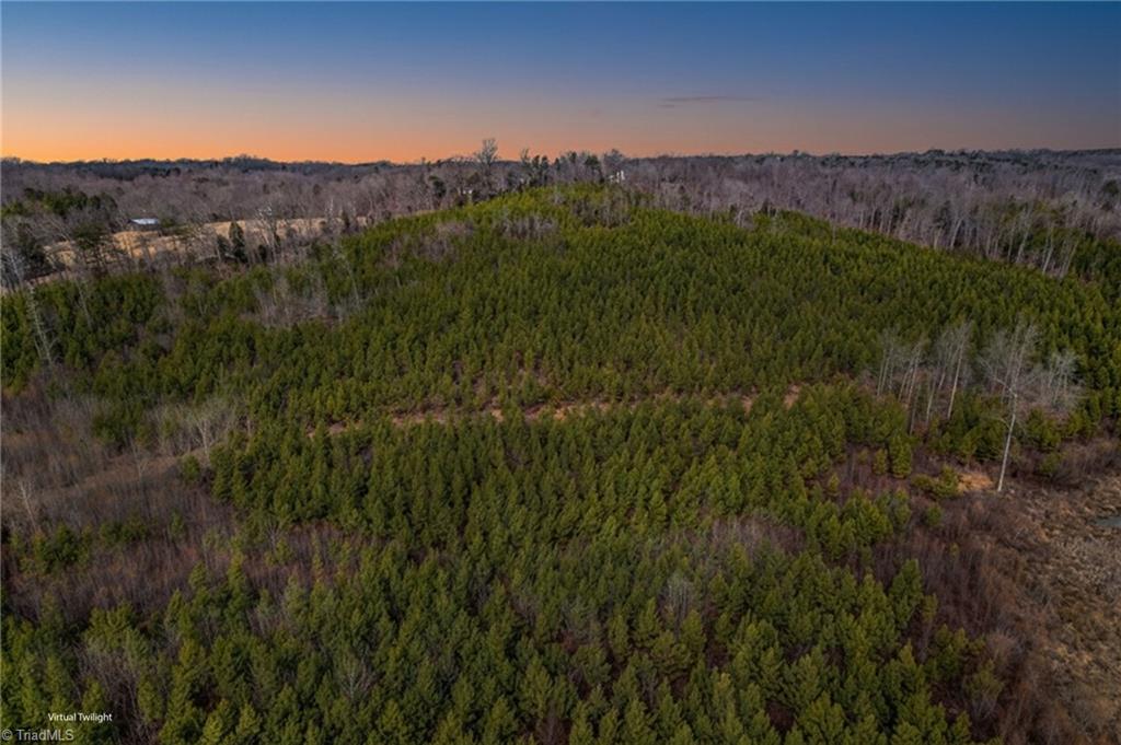 0 Lick Fork Creek Road Ruffin, NC 27326 - Photo 4 of 32