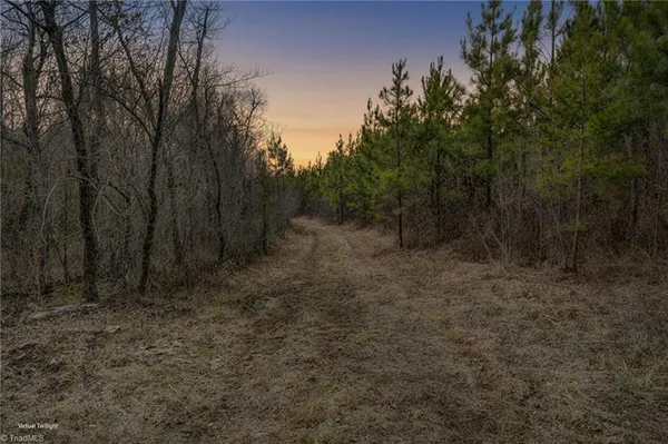 $698,500 | 0 Lick Fork Creek Road, Ruffin, NC 27326