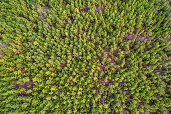 $698,500 | 0 Lick Fork Creek Road, Ruffin, NC 27326