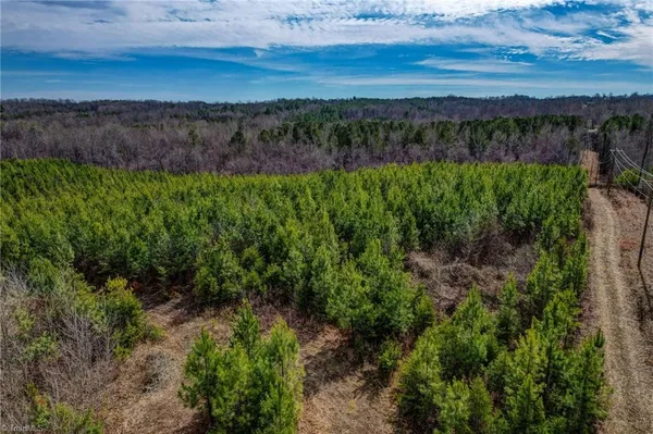 $698,500 | 0 Lick Fork Creek Road, Ruffin, NC 27326