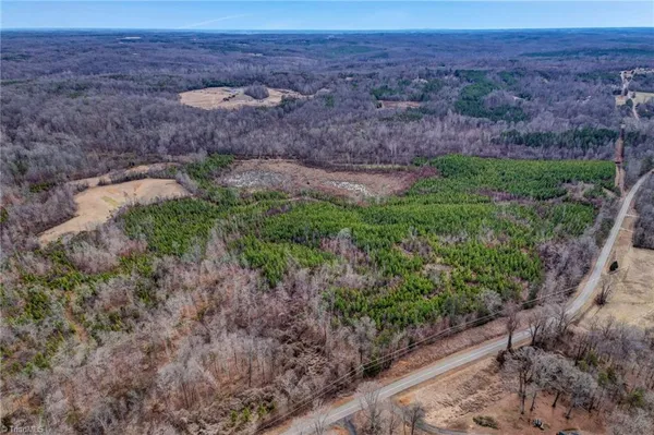 $698,500 | 0 Lick Fork Creek Road, Ruffin, NC 27326