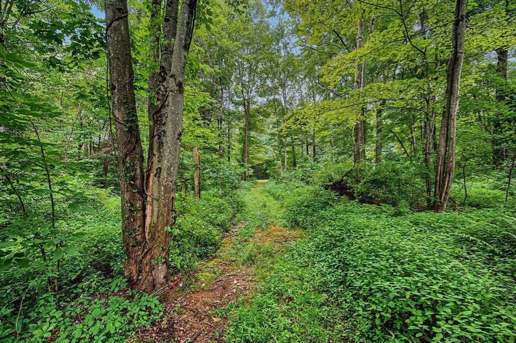 60 Main Road Westhampton, MA 01027 - Photo 40 of 42 Gallery Image 40