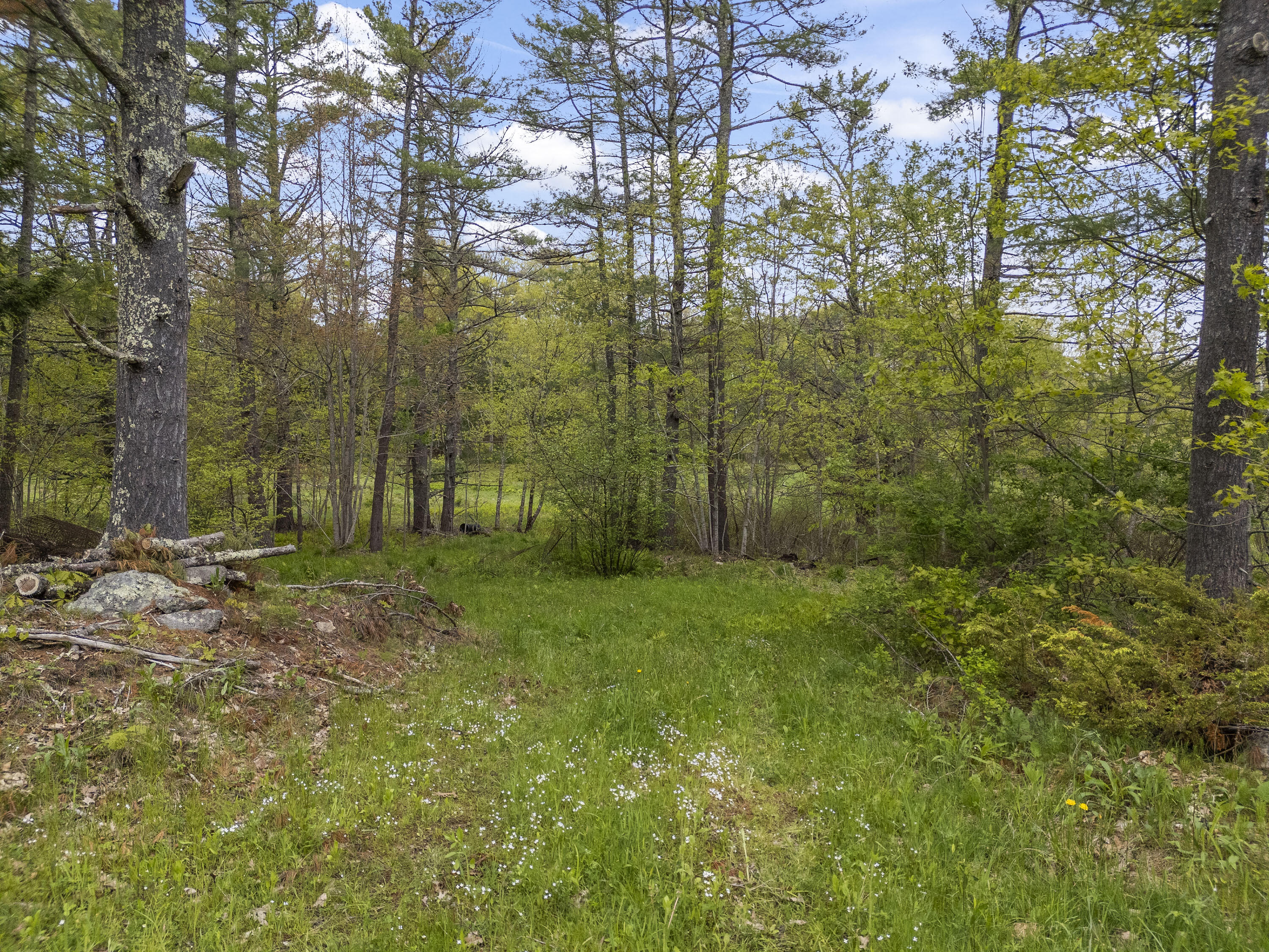 0 George Wright Road Woolwich, ME 04579 - Photo 14 of 21 0 George Wright Rd_113