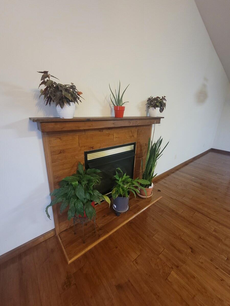 265 Lynn Road Johnson City, TN 37604 - Photo 5 of 40 265 Lynn Rd
