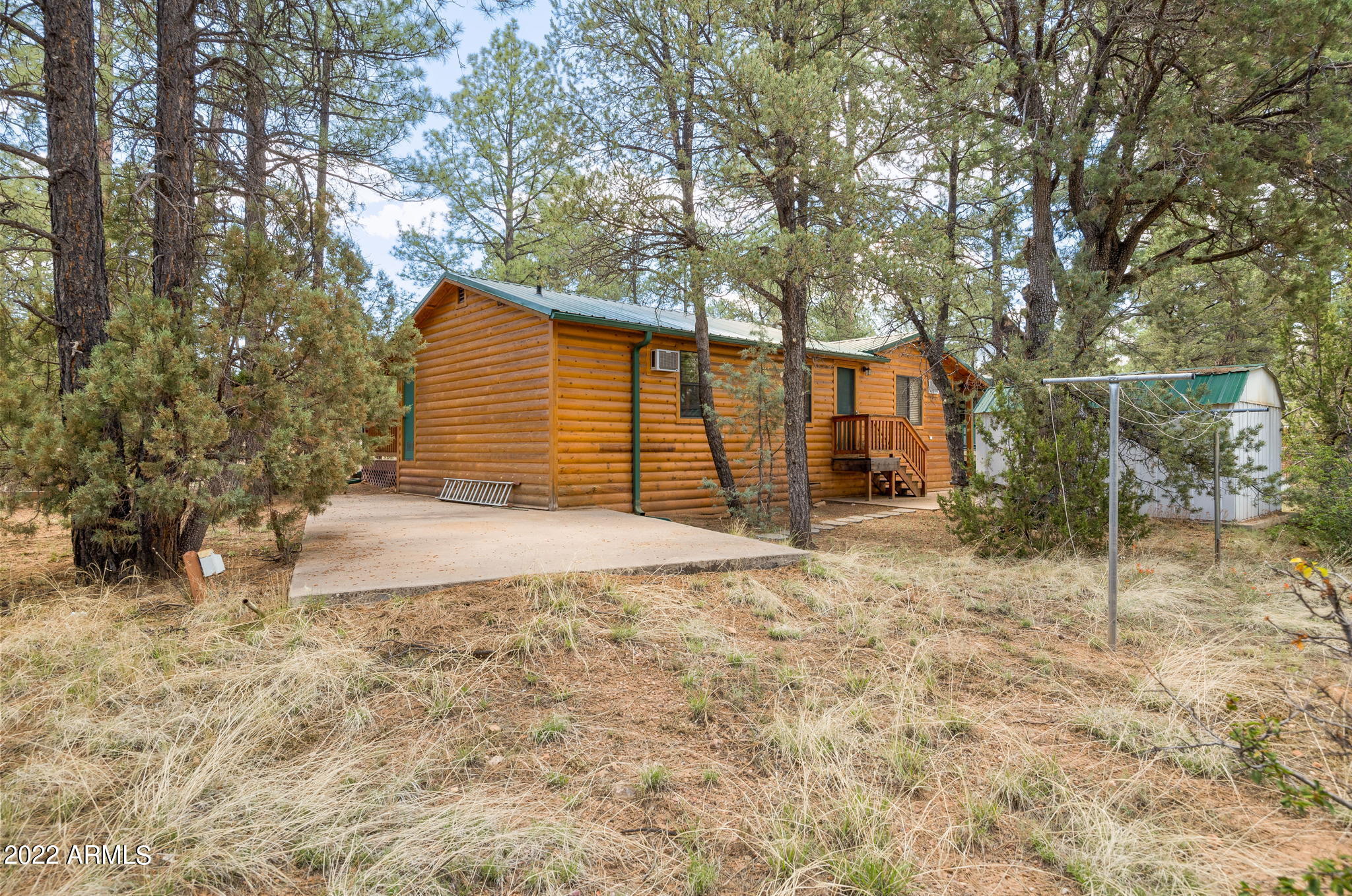2953 Hunters Road Overgaard, AZ 85933 - Photo 13 of 17 BACK YARD
