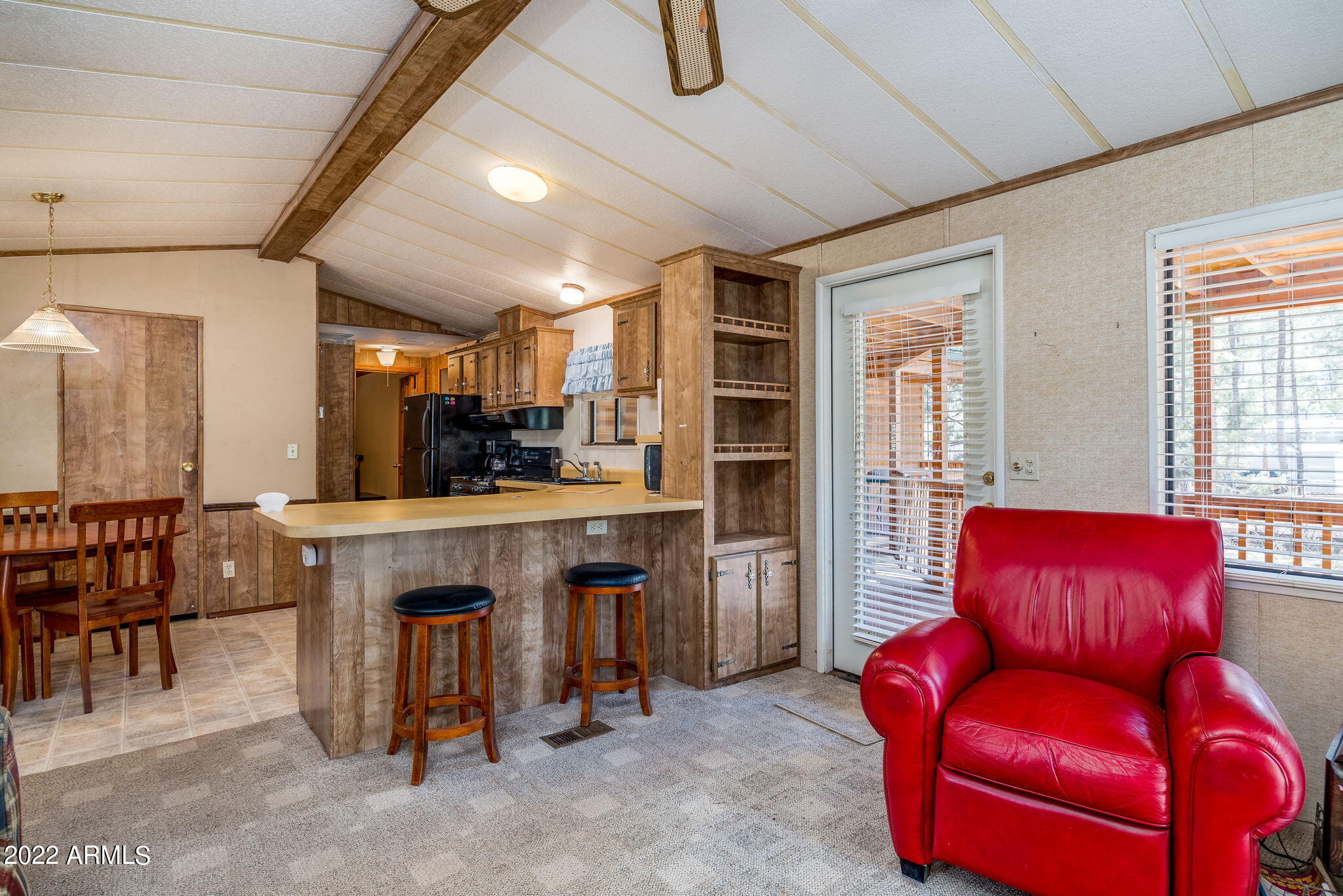 2953 Hunters Road Overgaard, AZ 85933 - Photo 2 of 17 OPEN CONCEPT