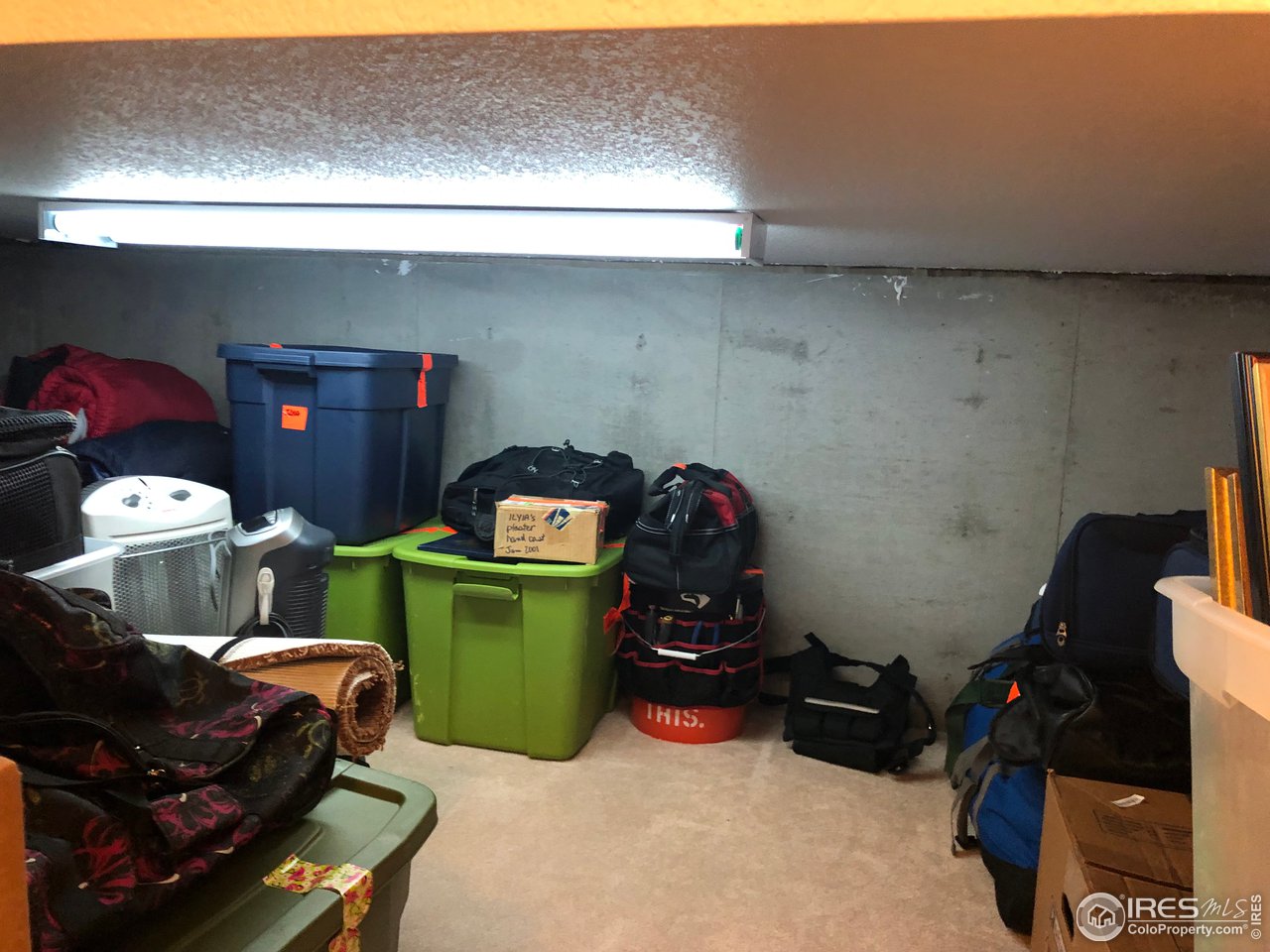 832 Nicole Road Sterling, CO 80751 - Photo 32 of 37 Storage Under Stairs