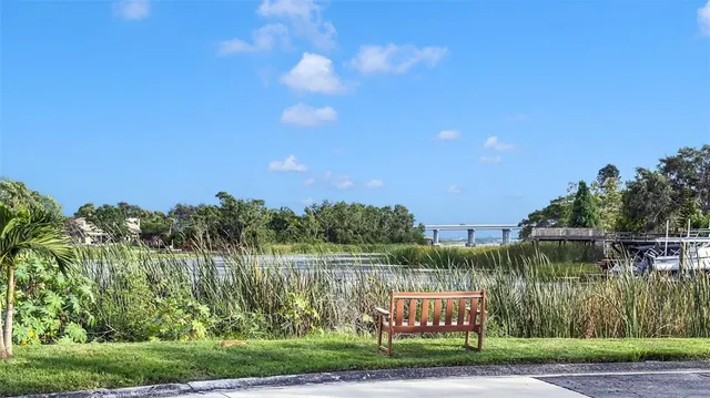 a view of a street with a tree