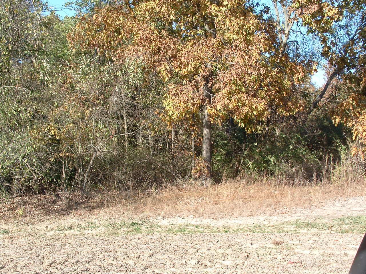 9368 Jug Road Northwest Pataskala, OH 43062 - Photo 19 of 27