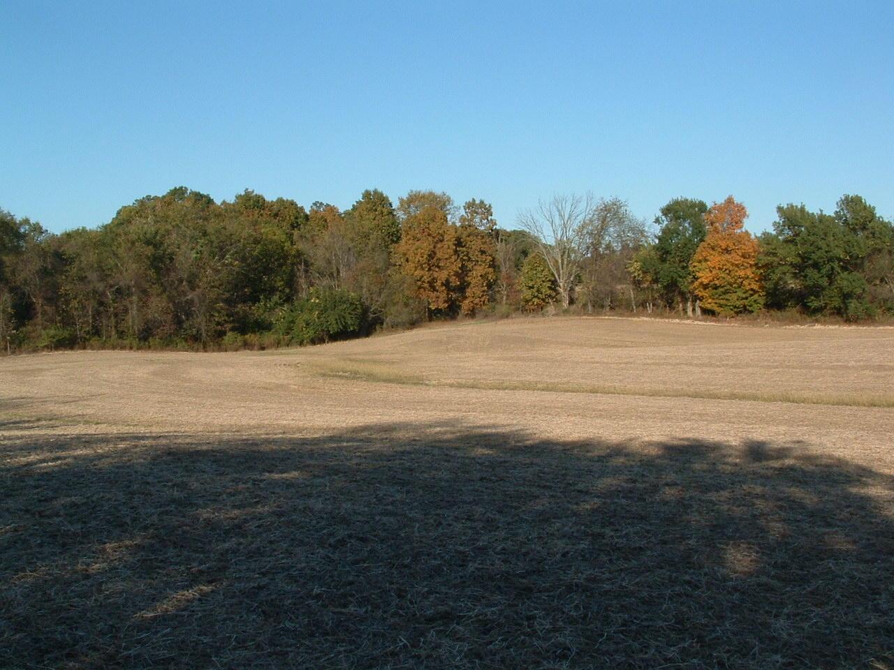 9368 Jug Road Northwest Pataskala, OH 43062 - Photo 21 of 27