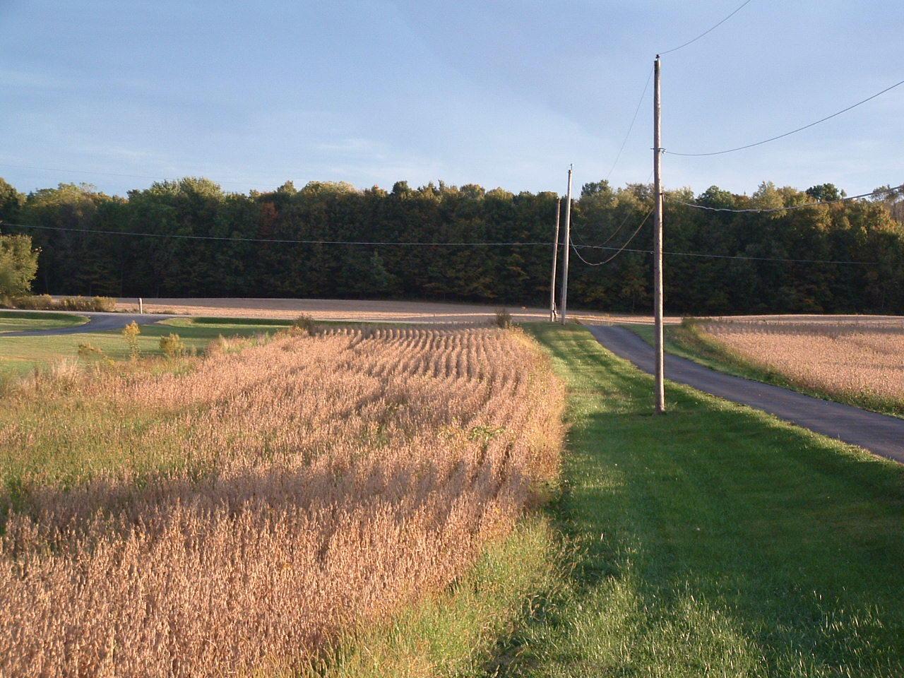9368 Jug Road Northwest Pataskala, OH 43062 - Photo 3 of 27
