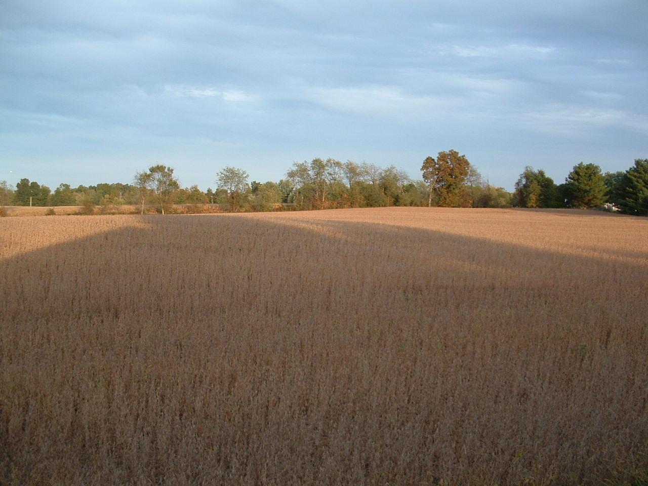 9368 Jug Road Northwest Pataskala, OH 43062 - Photo 4 of 27