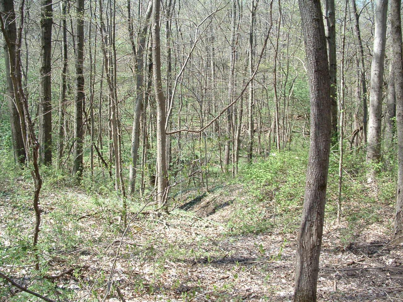 9368 Jug Road Northwest Pataskala, OH 43062 - Photo 9 of 27