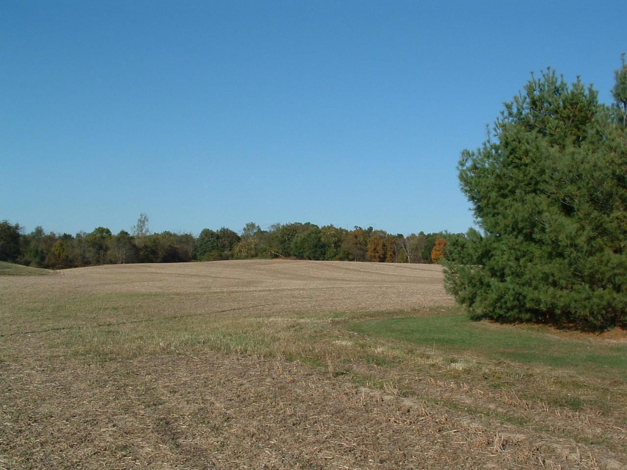 9368 Jug Road Northwest Pataskala, OH 43062 - Photo 10 of 27
