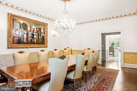 a view of a garden with plants