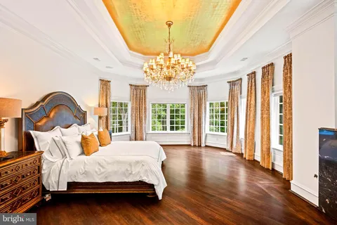 a view of a garden with plants