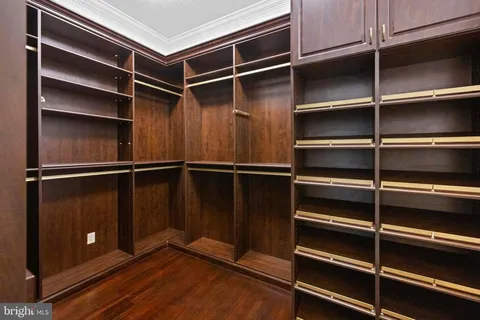 a view of a garden with plants