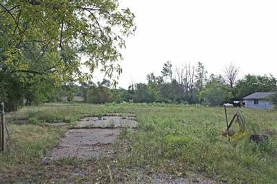 20305538-4.JPG