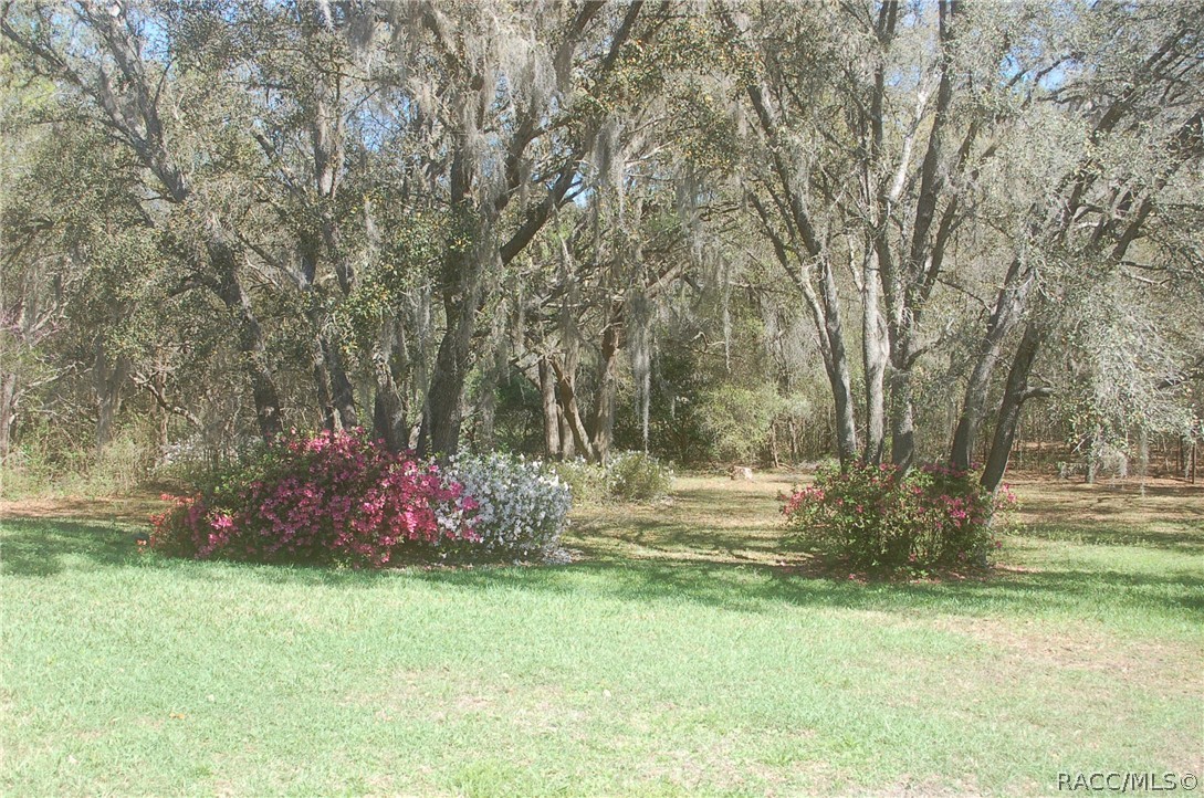 4161 North Longvalley Road Hernando, FL 34442 - Photo 69 of 71