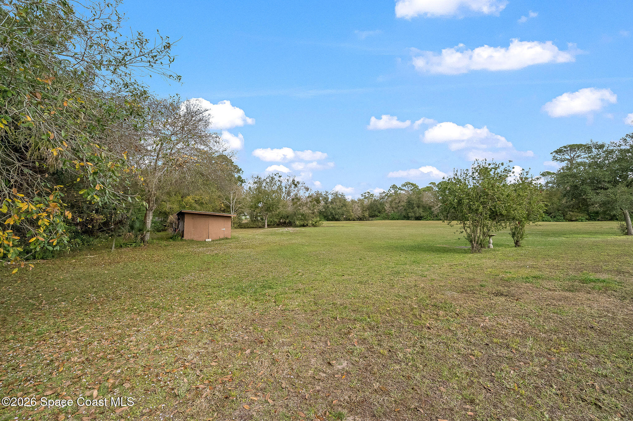 4600 Janet Road Cocoa, FL 32926 - Photo 43 of 50 a view of a field with a tree